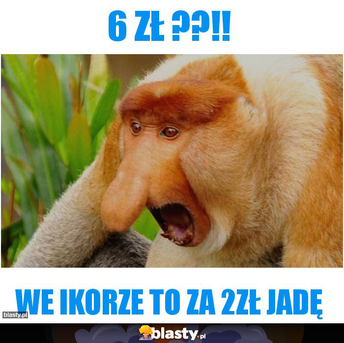 6 zł ??!!