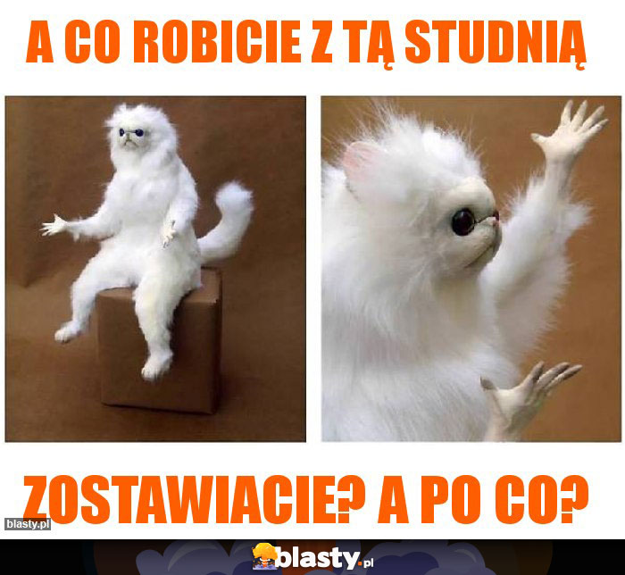 A co robicie z tą studnią