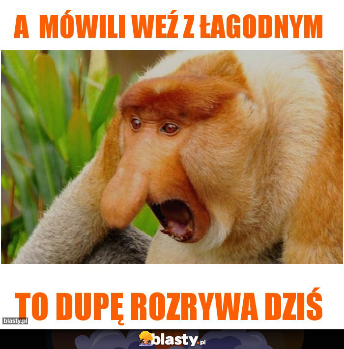 A  mówili weź z łagodnym