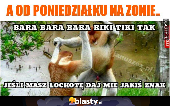 a od poniedziałku na zonie..