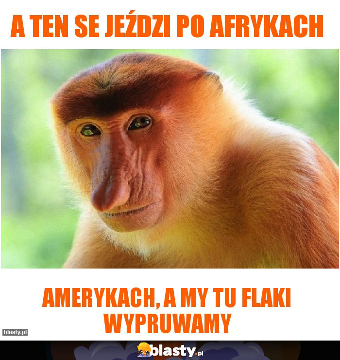 A ten se jeździ po Afrykach