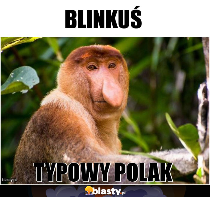 Blinkuś