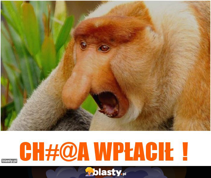 Ch#@a wpłacił  !