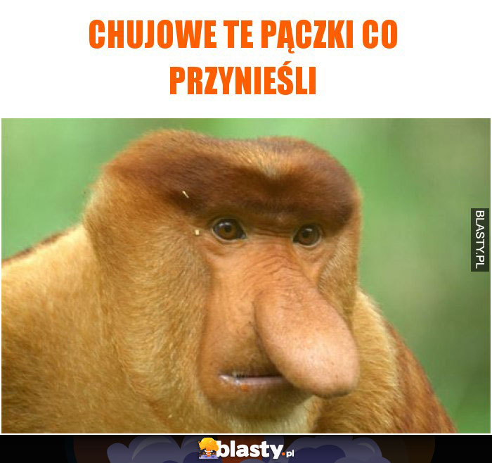 chujowe te pączki co przynieśli