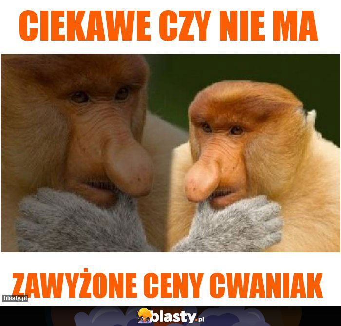 Ciekawe czy nie ma