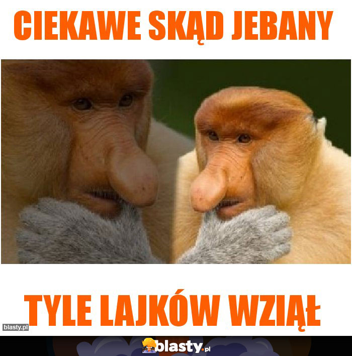 CIEKAWE SKĄD JEBANY