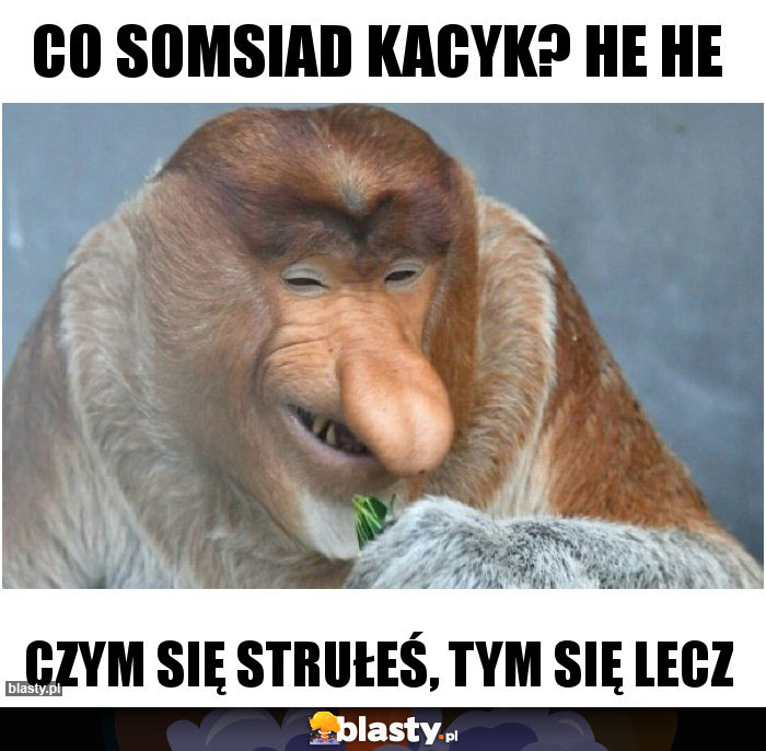 Co somsiad Kacyk? He he