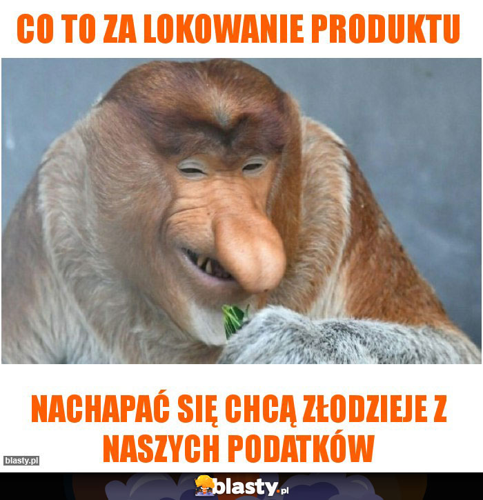 Co to za lokowanie produktu