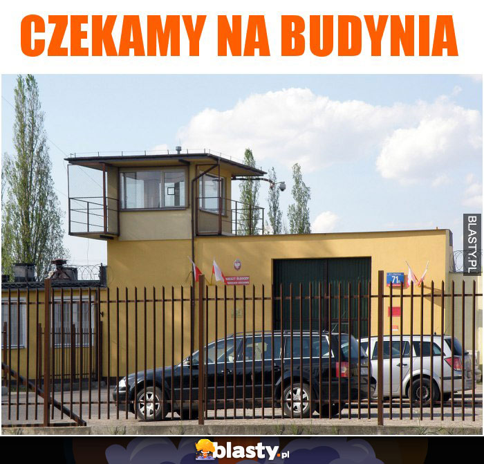 czekamy na budynia