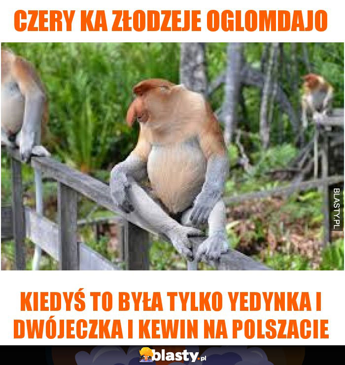 czery ka złodzeje oglomdajo