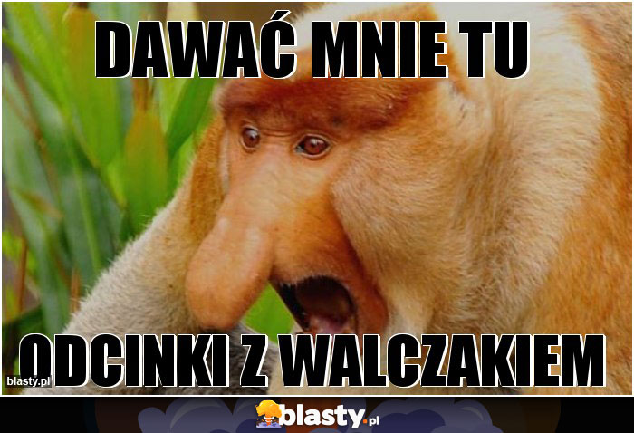 Dawać mnie tu