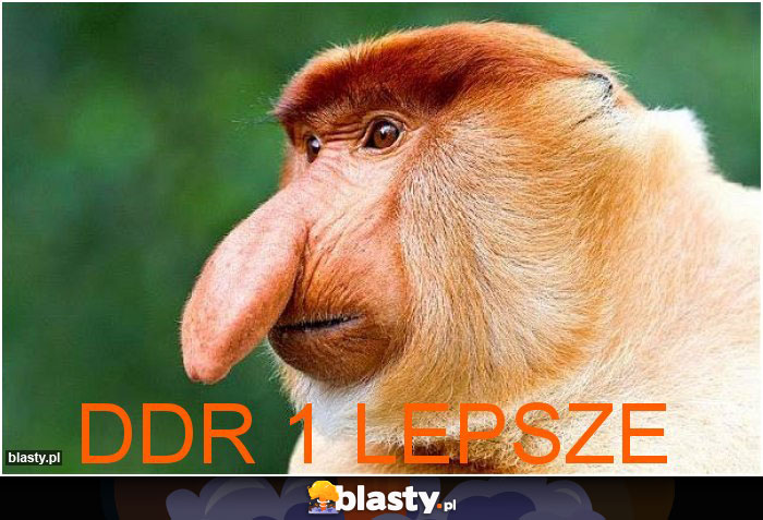 DDR 1 Lepsze