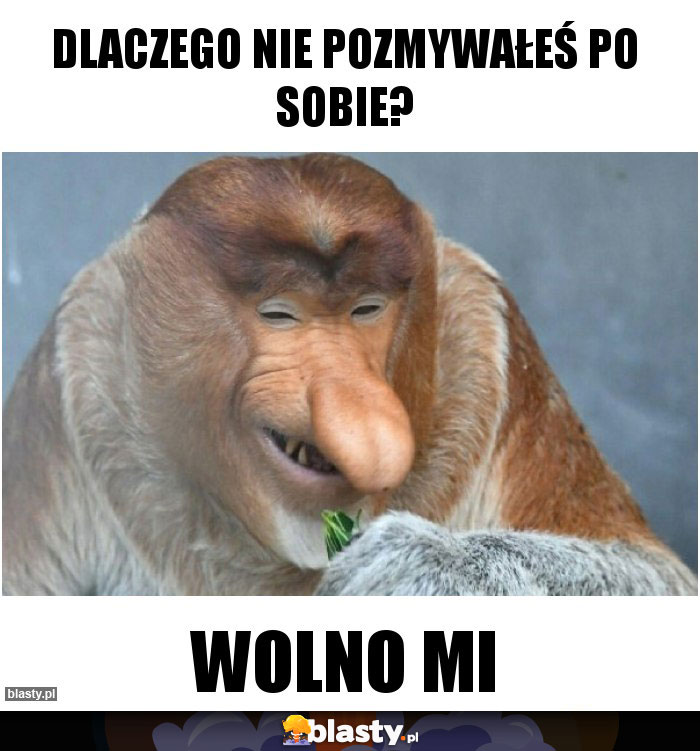 Dlaczego nie pozmywałeś po sobie?