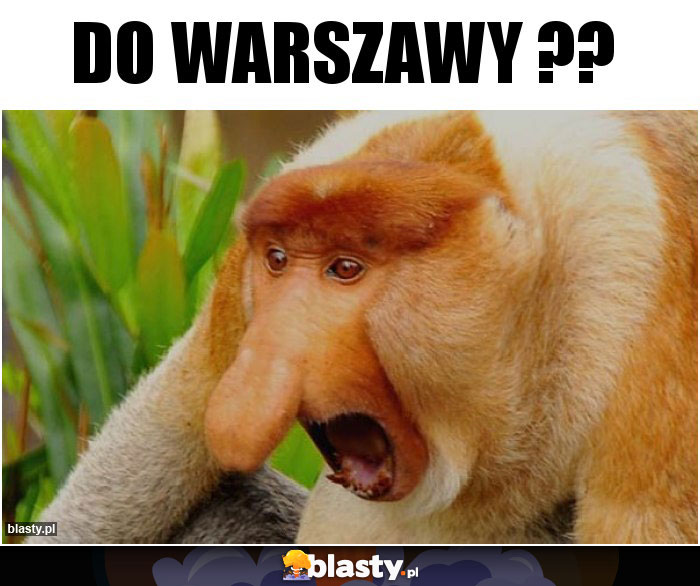 Do warszawy ??