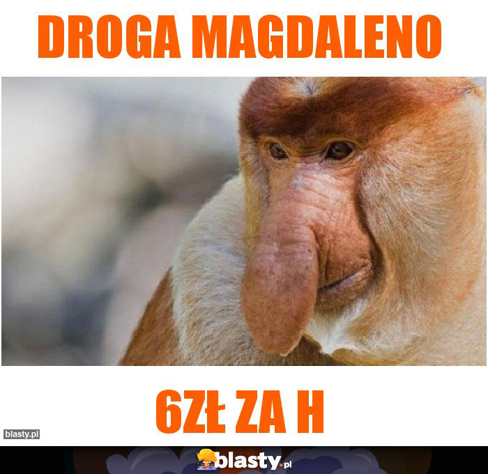 DROGA MAGDALENO