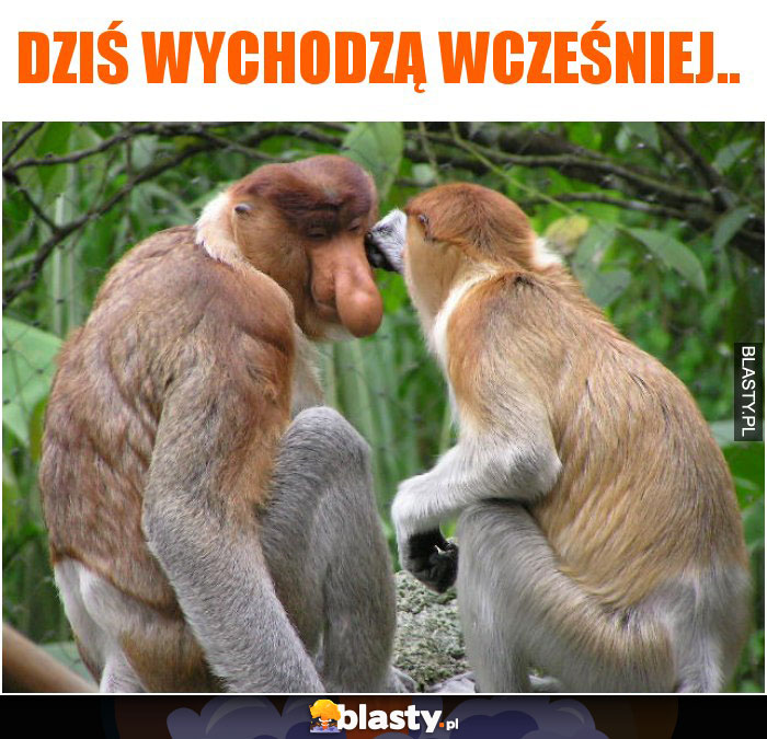 dziś wychodzą wcześniej..