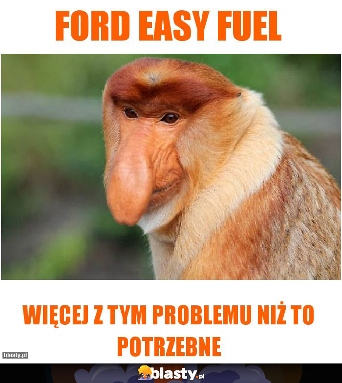 Ford easy fuel