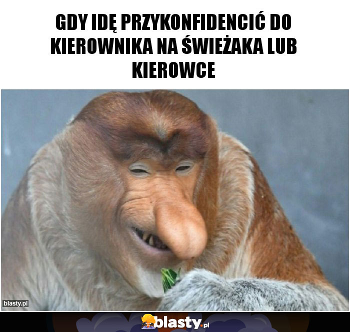 gdy idę przykonfidencić do kierownika na świeżaka lub kierowce