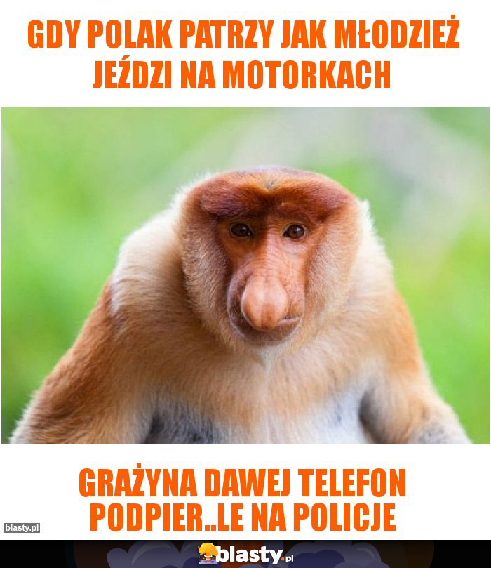 Gdy polak patrzy jak młodzież jeździ na motorkach