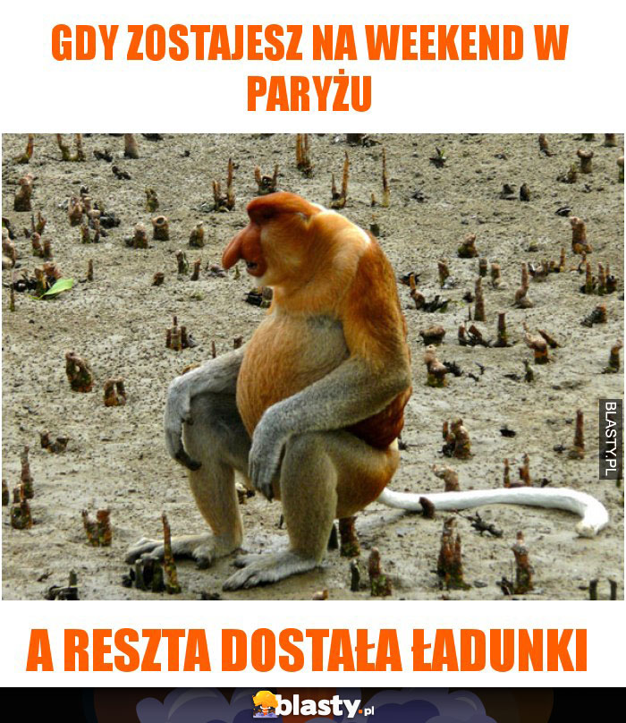 gdy zostajesz na weekend w paryżu