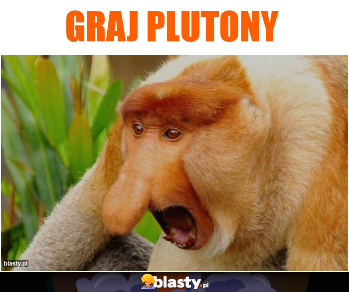 Graj plutony