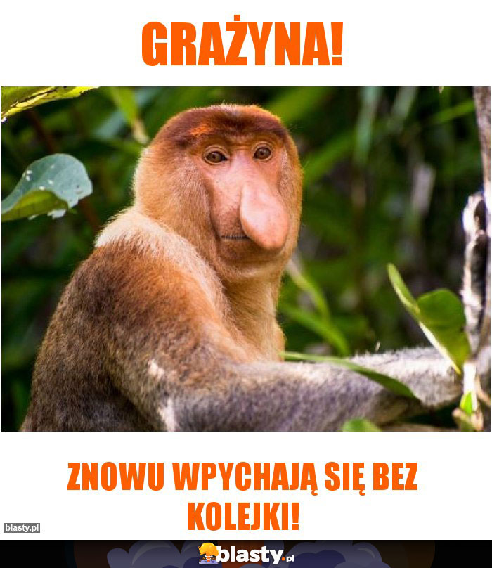 GRAŻYNA!