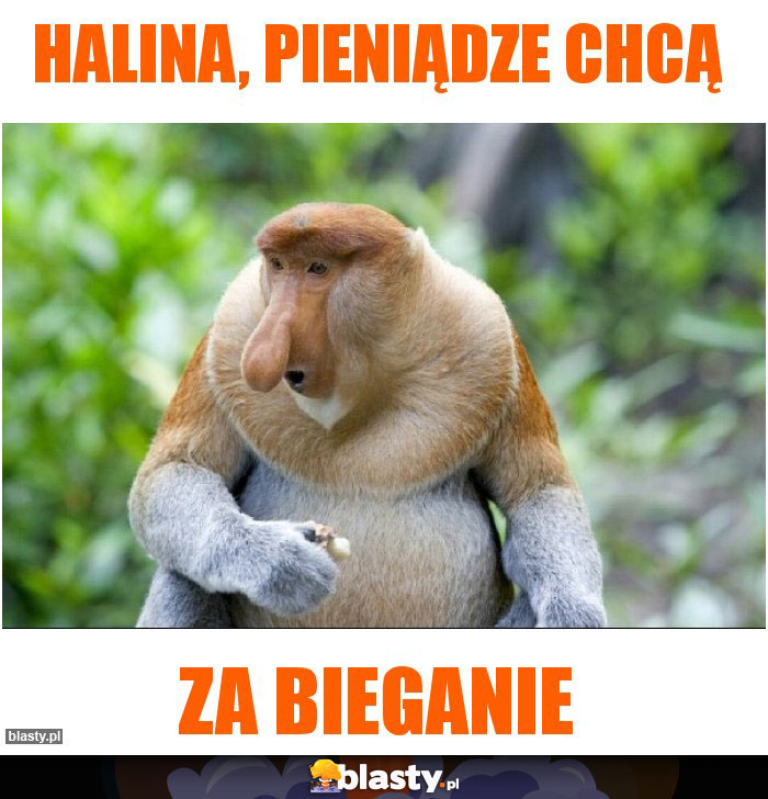 Halina, pieniądze chcą