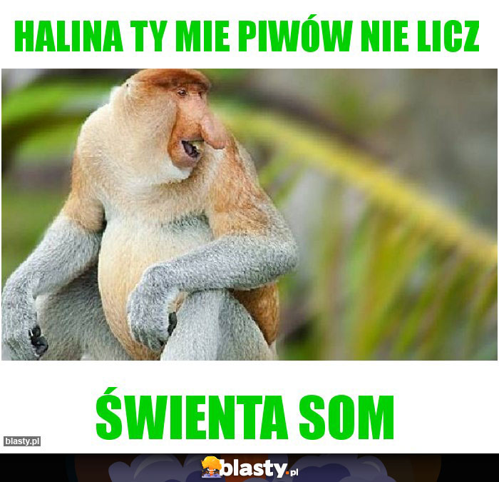 Halina ty mie piwów nie licz