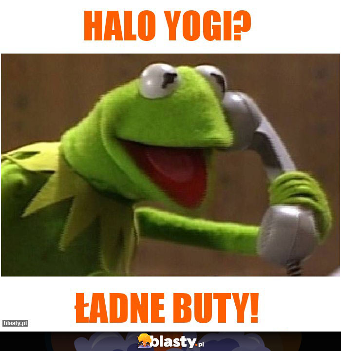 Halo yogi?