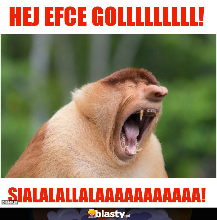 HEJ EFCE GOLLLLLLLLL!