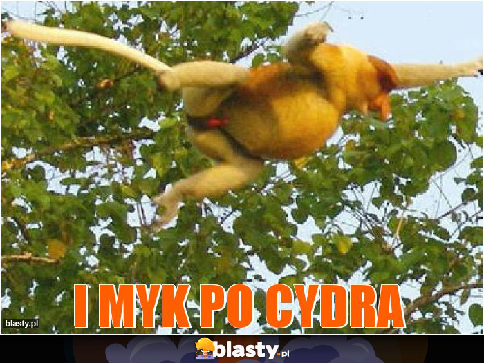 I myk po cydra