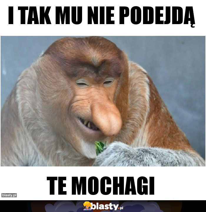 I tak mu nie podejdą