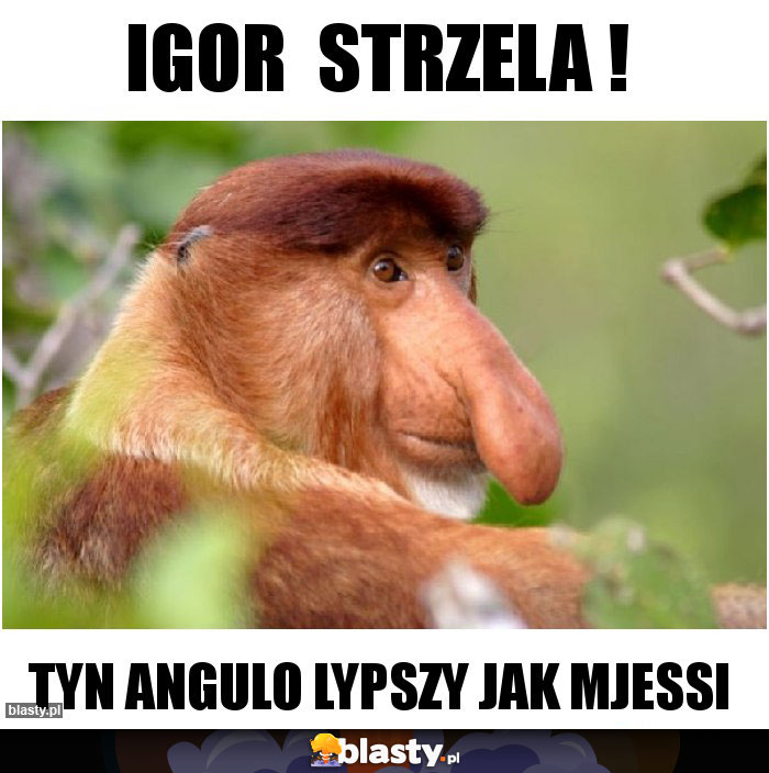 Igor  strzela !