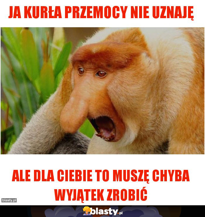 JA KURŁA PRZEMOCY NIE UZNAJĘ