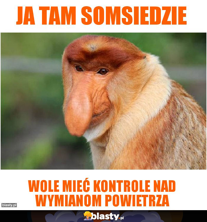 Ja tam somsiedzie