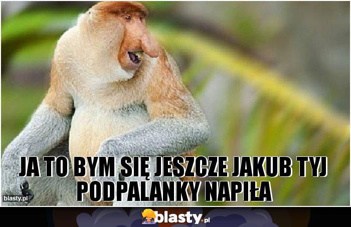 JA TO BYM SIĘ JESZCZE JAKUB TYJ PODPALANKY NAPIŁA