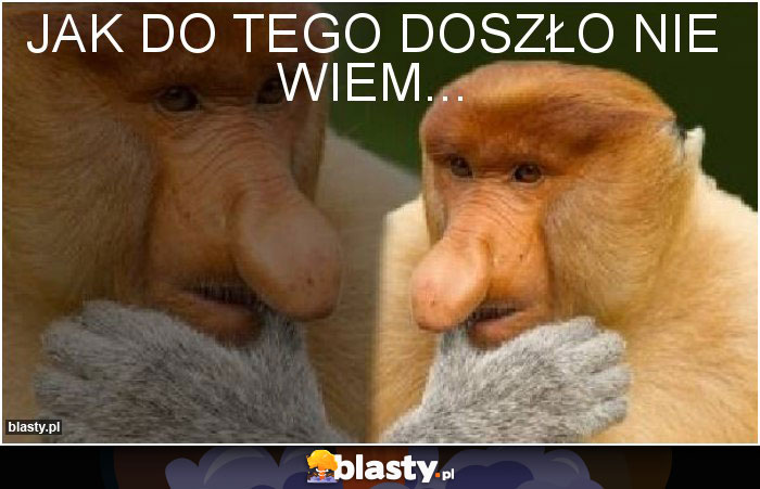 Jak do tego doszło nie wiem...