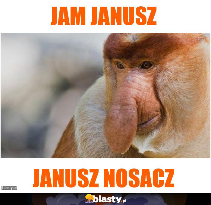 Jam Janusz