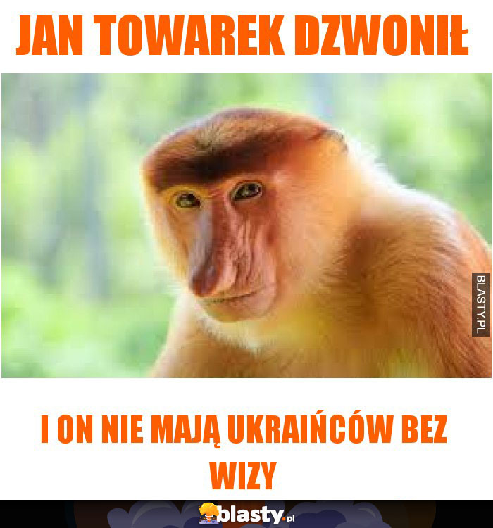 Jan Towarek dzwonił