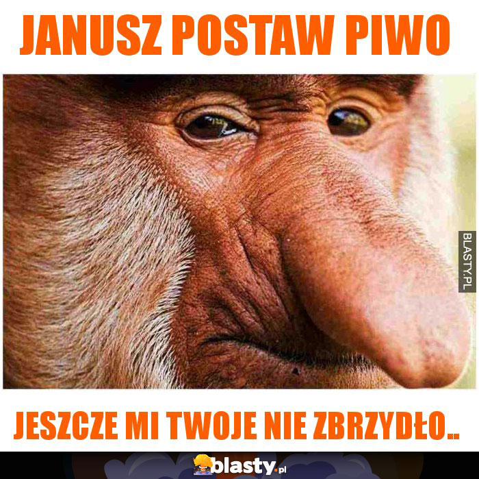 janusz postaw piwo