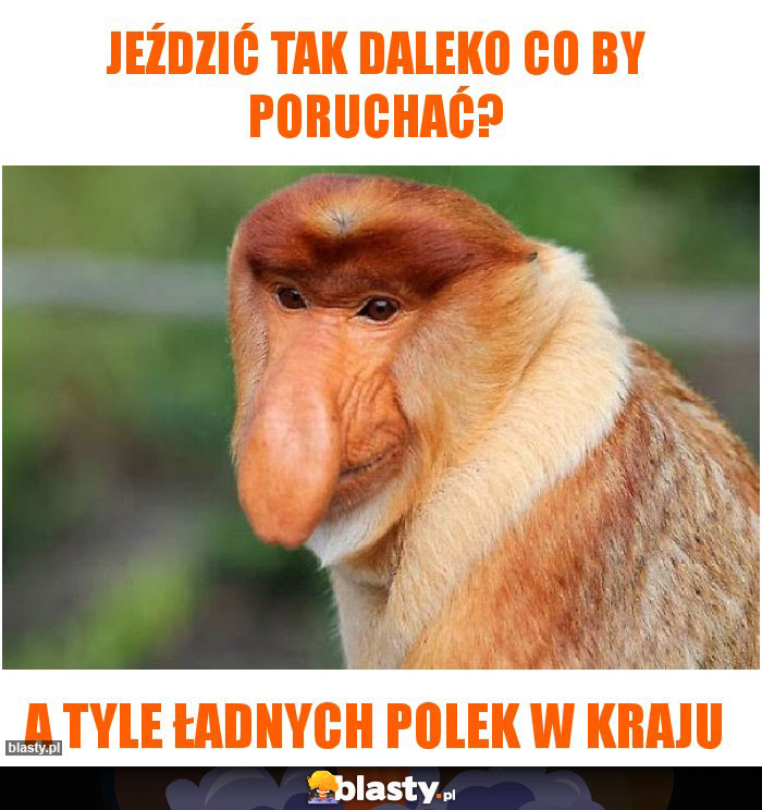 Jeździć tak daleko Co by poruchać?