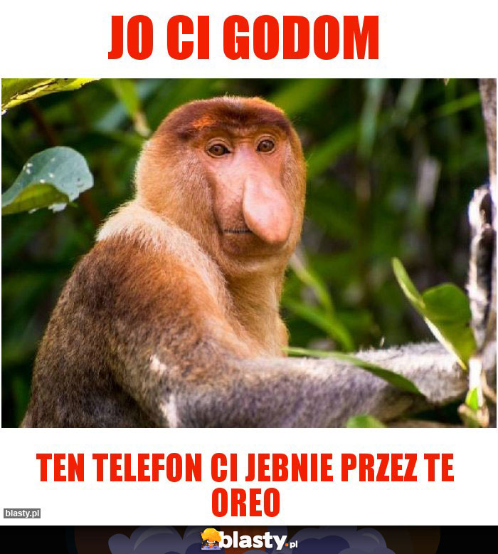 JO Ci godom