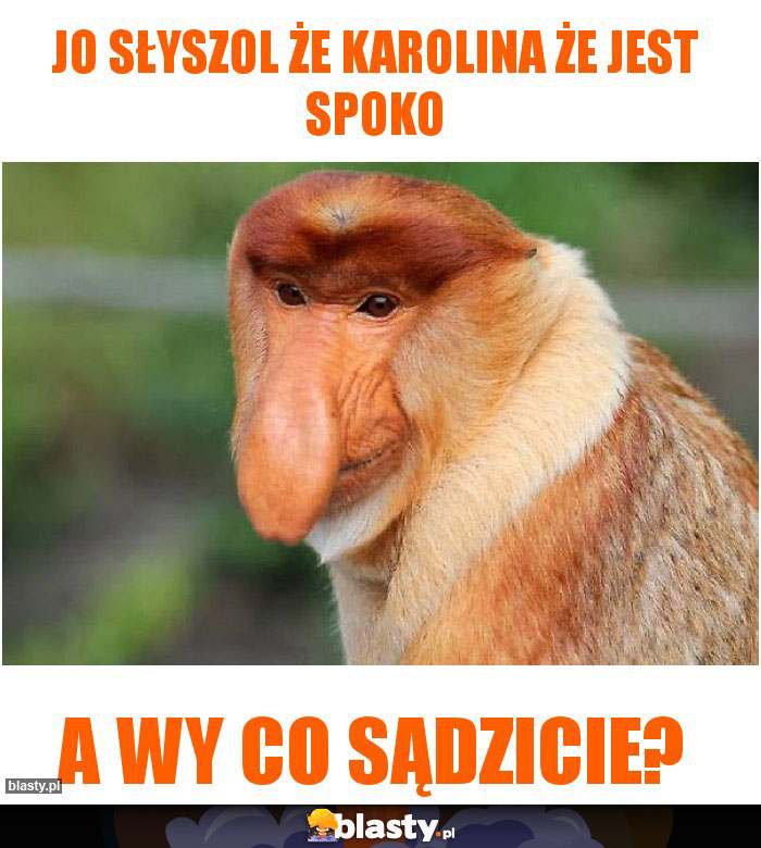 Jo słyszol że karolina że jest spoko