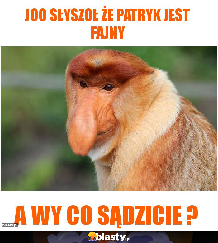 Joo słyszoł że patryk jest fajny