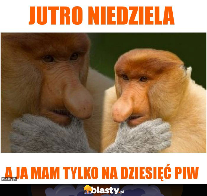 Jutro niedziela