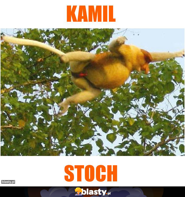 kamil