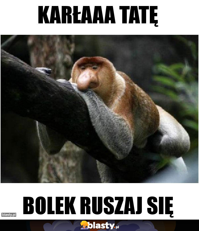 Karłaaa tatę