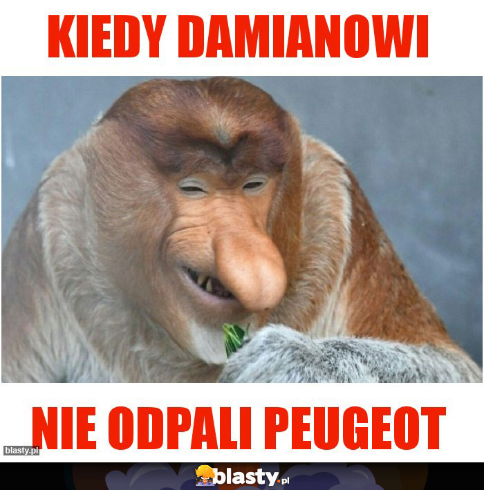 Kiedy Damianowi