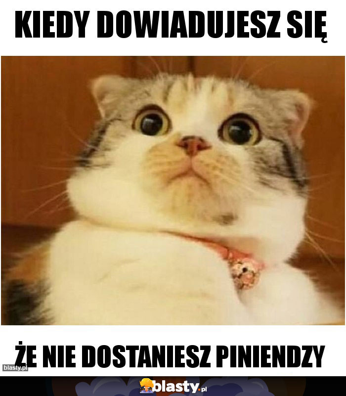 Kiedy dowiadujesz się