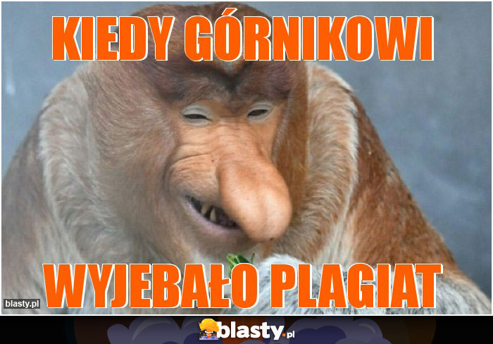 kiedy górnikowi